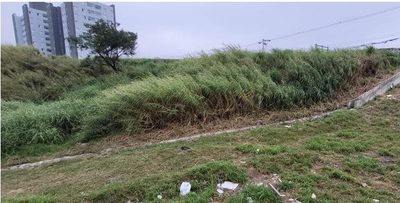 Terreno, 1 hectares - Foto 2