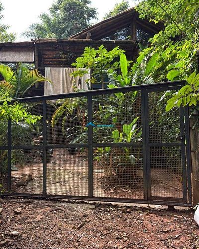 Chácara, 2 quartos, 1445 m² - Foto 1