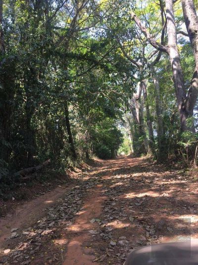 Sítio, 11 quartos, 7 hectares - Foto 4