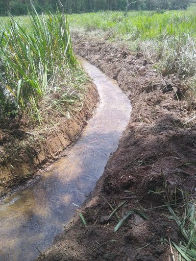 Sítio, 2 quartos, 330 m² - Foto 5