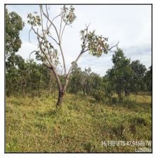 Terreno, 10 m² - Foto 1