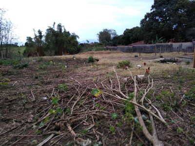 Terreno - Foto 1