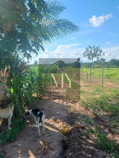 Terreno, 100 m² - Foto 4