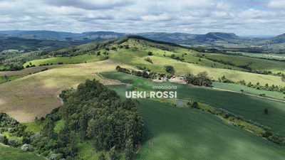 Fazenda, 341 hectares - Foto 4