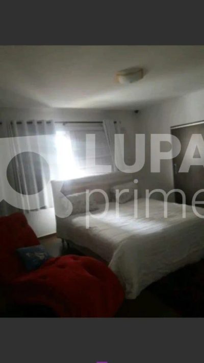 Casa, 3 quartos, 590 m² - Foto 3