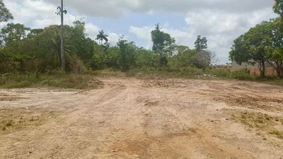 Terreno, 2 hectares - Foto 4