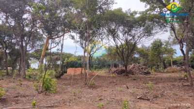 Chácara, 1 quarto - Foto 4