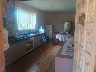 Chácara, 4 quartos, 6000 m² - Foto 3