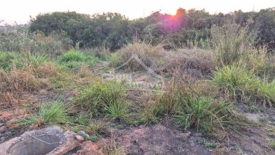 Terreno - Foto 4