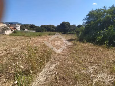Terreno, 10000 m² - Foto 2