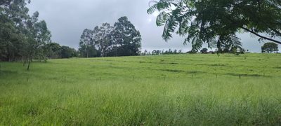 Terreno, 500 m² - Foto 5