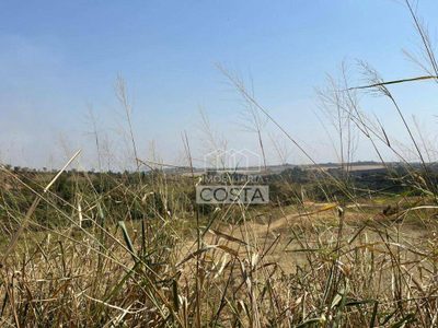 Terreno, 8 hectares - Foto 4