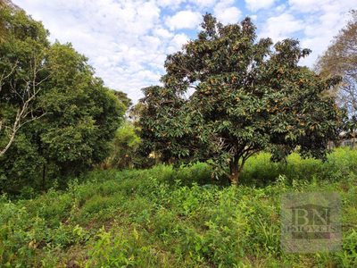 Terreno, 2606 m² - Foto 5