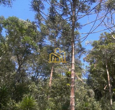 Terreno, 9 hectares - Foto 4