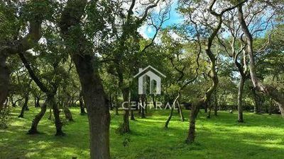 Terreno, 7000 m² - Foto 1