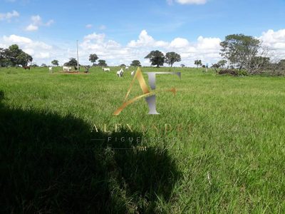 Terreno, 115 hectares - Foto 1