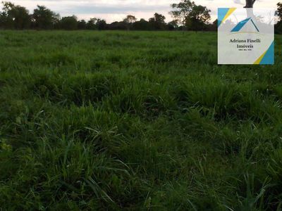 Fazenda, 138 hectares - Foto 4