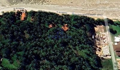 Terreno, 7 hectares - Foto 5