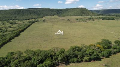Chácara, 50 hectares - Foto 1