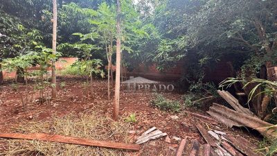 Terreno, 250 m² - Foto 5