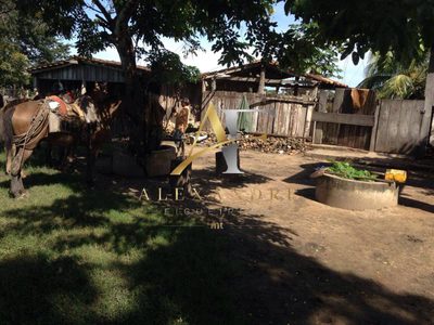 Fazenda, 342 hectares - Foto 3