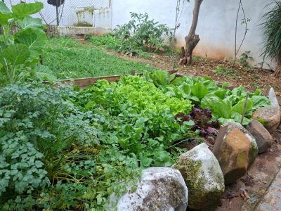 Casa, 4 quartos, 150 m² - Foto 4