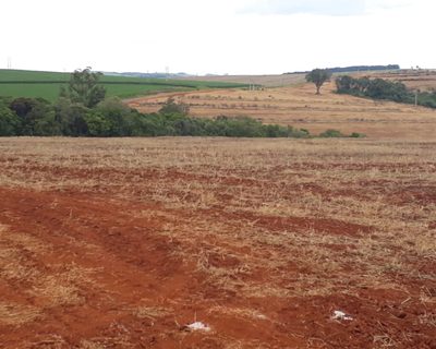 Fazenda, 1 quarto - Foto 5
