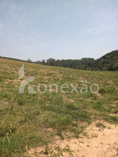 Sítio, 2 quartos, 200 m² - Foto 3