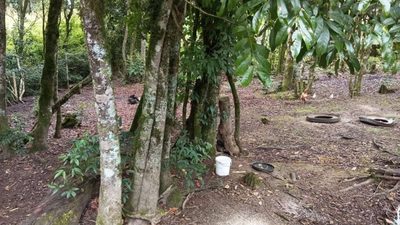 Fazenda, 3600 m² - Foto 5