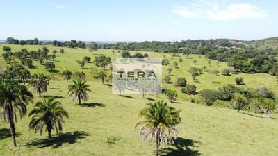 Fazenda, 87 hectares - Foto 2