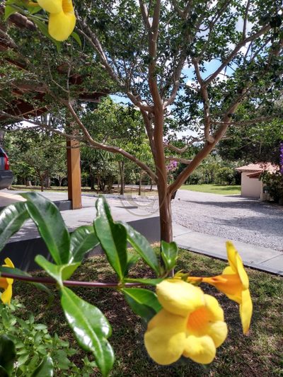 Chácara, 5 quartos, 500 m² - Foto 3
