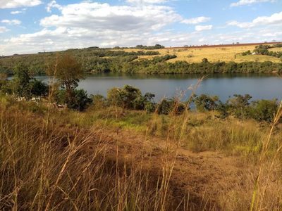 Chácara, 1 quarto, 5000 m² - Foto 1