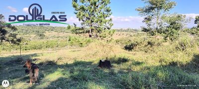 Terreno, 2 hectares - Foto 4