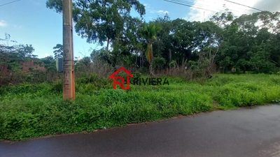 Terreno, 4 hectares - Foto 3