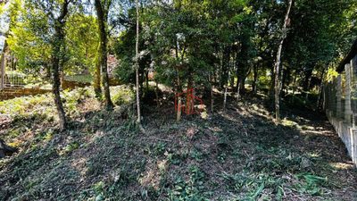 Terreno, 504 m² - Foto 5