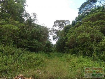 Terreno, 500 m² - Foto 1