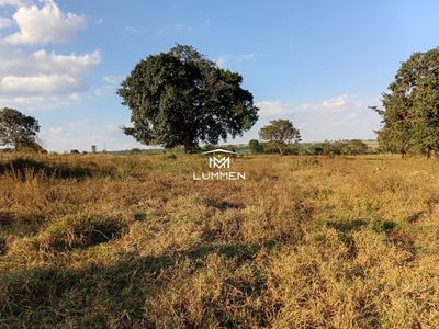 Terreno, 800 m² - Foto 2