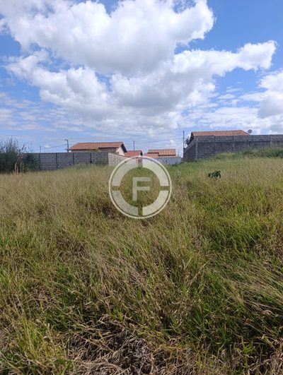 Terreno, 250 m² - Foto 1