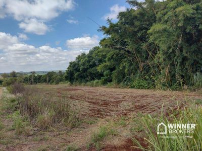 Sítio, 18 hectares - Foto 4