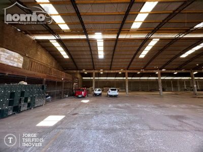 Casa, 2 quartos, 3200 m² - Foto 5