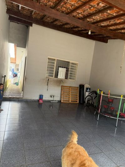 Casa, 3 quartos, 236 m² - Foto 3