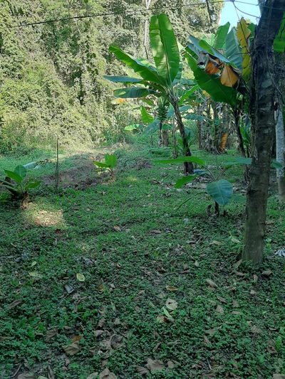 Fazenda, 800 m² - Foto 2