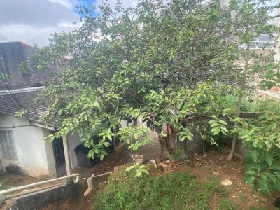 Loteamento e Condomínio, 227 m² - Foto 3