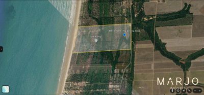 Terreno, 49 hectares - Foto 4