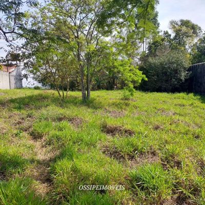 Terreno, 1000 m² - Foto 2