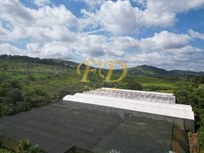 Terreno, 20 hectares - Foto 3