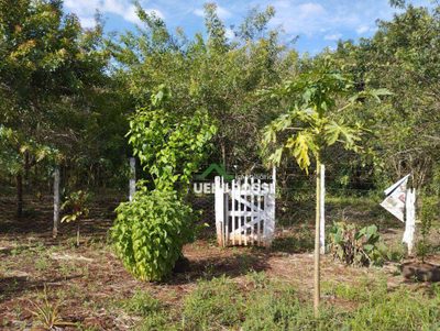 Fazenda, 1000 m² - Foto 5
