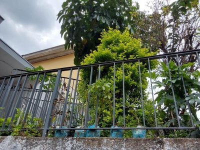 Casa, 3 quartos, 189 m² - Foto 5
