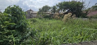 Terreno, 260 m² - Foto 1