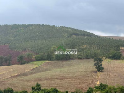 Chácara, 2 hectares - Foto 1